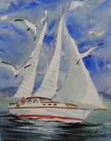 SAIL BOAT & BIRDS